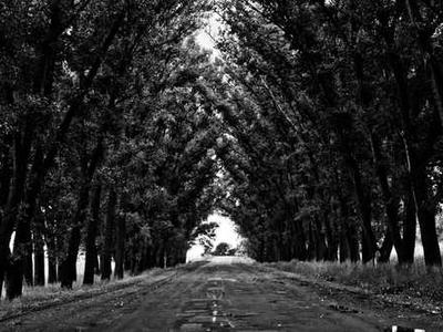 杭州创盛恒私家侦探团队开展合规调查工作