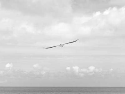 杭州创盛恒调查员在商圈开展合规取证工作